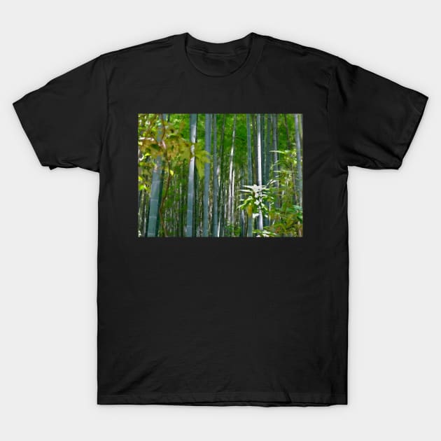 Bamboo Forest Sunlight T-Shirt by softbluehum